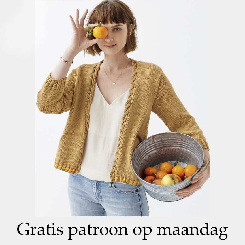 Breipatroon vest