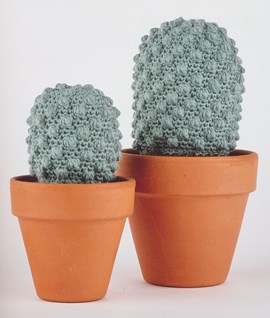 Ongebruikt Haakpatroon Cactus NH-56