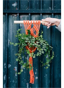 Plantenhanger