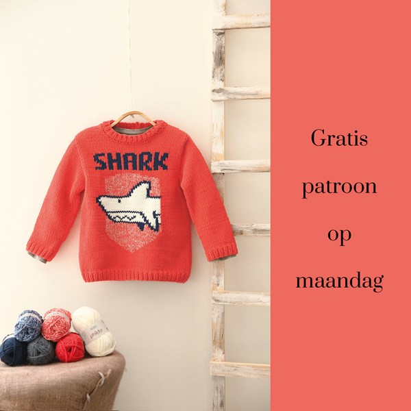 Breipatroon jongenstrui