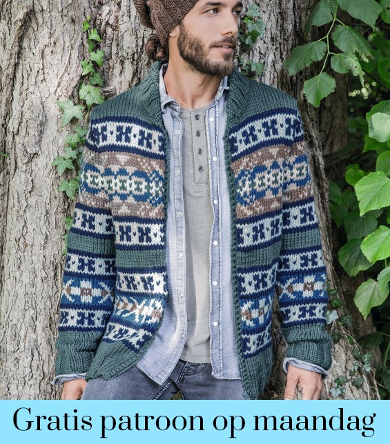 Breipatroon vest